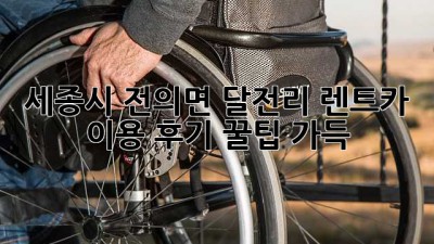 세종시 전의면 달전리 렌트카 이용 후기: 꿀팁 가득!